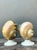 Late 20th Century Vintage Deco Nautilus Shell Lamps - A Pair For Sale - Image 5 of 12