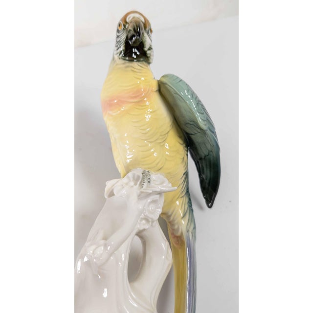 White 19th Century German Porcelain Macaw or Parrot Type Figure by Karl Ens For Sale - Image 8 of 11