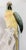 White 19th Century German Porcelain Macaw or Parrot Type Figure by Karl Ens For Sale - Image 8 of 11