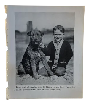 1933 Dog Book Illustration Airedale Print