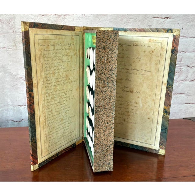 Italian Grand Tour Book of Plaster Intaglios by Giovanni Liberotti #1 For Sale - Image 11 of 12