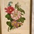 1940's Framed lithograph of a floral botanical by Benoit Chirat.