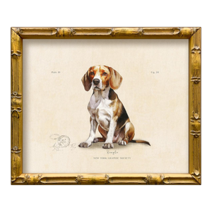 Reproduction Art Print of Vintage "World of Dogs" Illustration (Beagle), Framed