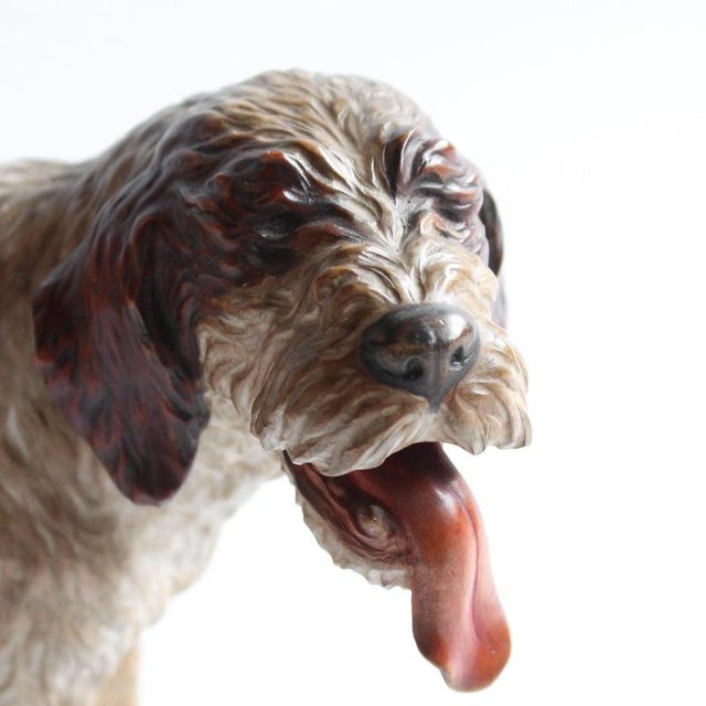 A black forest carved dog in the form of a panting spinone italiano. Finely carved detail and hand painted. Dimensions: h...