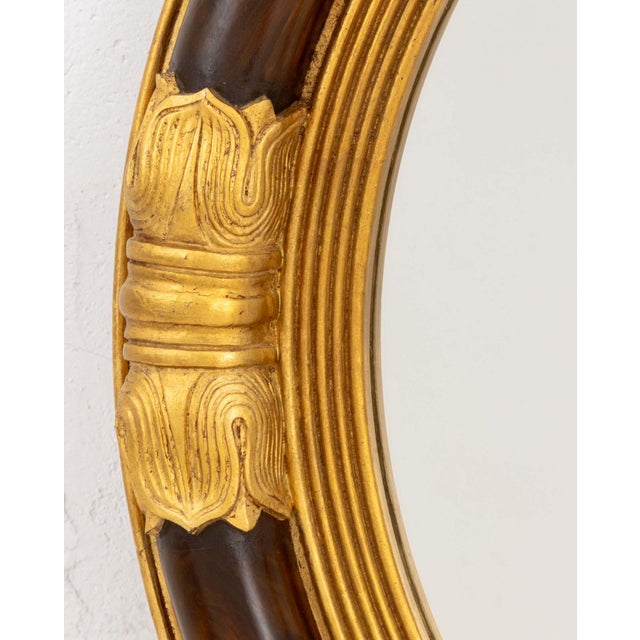 Traditional Regency Style Walnut and Giltwood Framed Circular Convex Mirror For Sale - Image 3 of 7