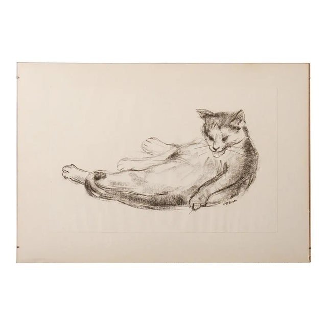Estella Den Boer, Cat, 1970s, Charcoal Drawing For Sale - Image 6 of 6