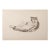 Estella Den Boer, Cat, 1970s, Charcoal Drawing For Sale - Image 6 of 6
