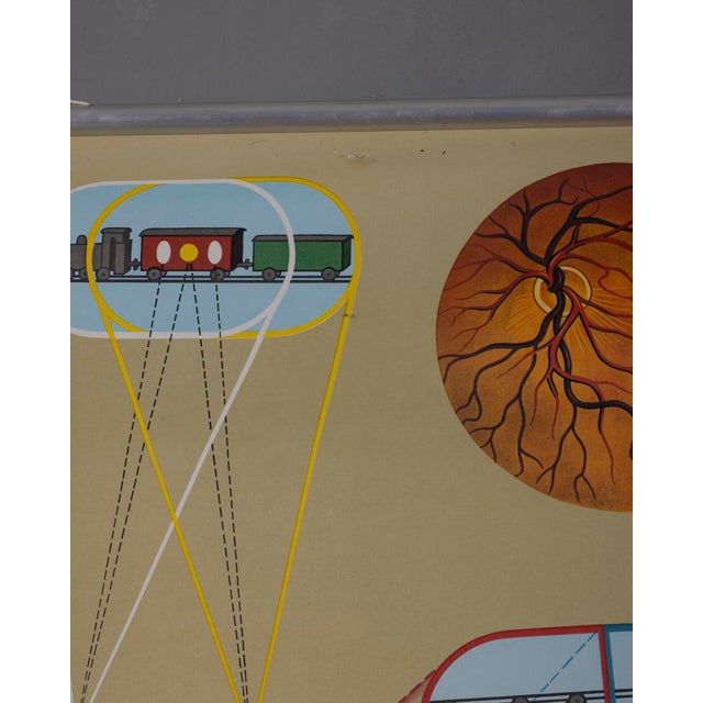 Metal Vintage School Poster the Eye and Its Functions from Lehrmittelverlag Wilhelm Hagemann, 1970s For Sale - Image 7 of 15