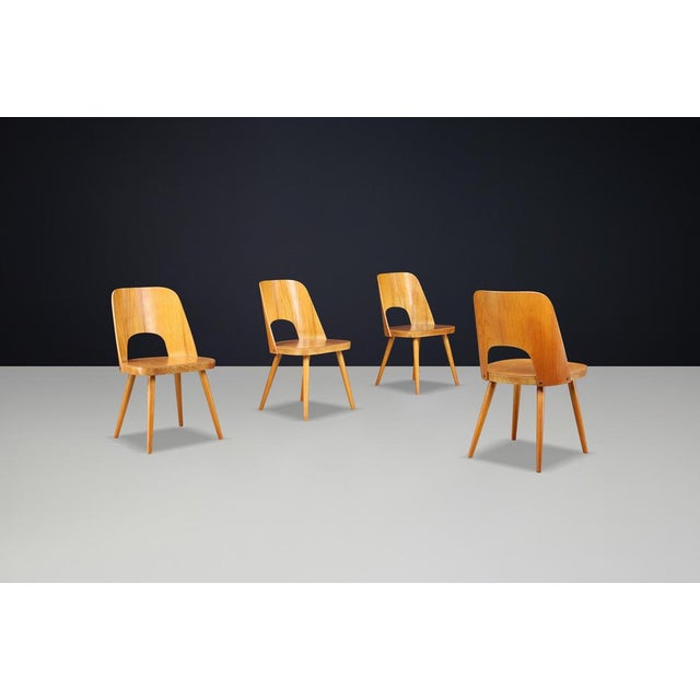 Dining Chairs attributed to Oswald Haerdtl for Ton, Former Czechoslovakia, 1950s, Set of 4 For Sale - Image 3 of 9