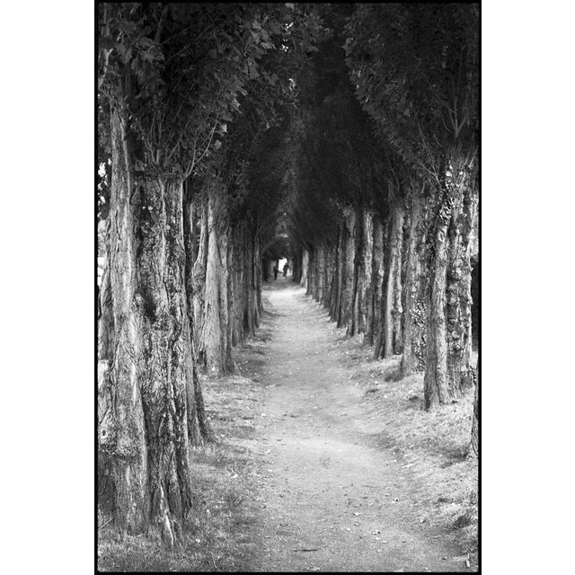 Not Yet Made - Made To Order Paul Cooklin, Treeline, Edition of 50 For Sale - Image 5 of 5