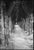 Not Yet Made - Made To Order Paul Cooklin, Treeline, Edition of 50 For Sale - Image 5 of 5