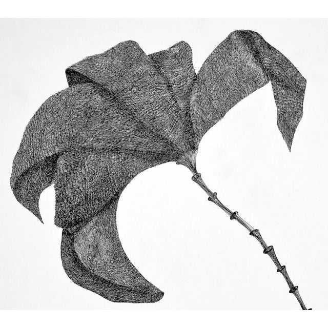 Postmodern Secret Garden 18 by Alina Aldea For Sale - Image 3 of 6