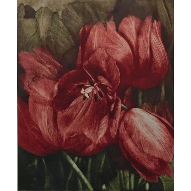 GH Rothe "Some of 48 Tulips" Mezzotint Etching Hand Signed Artwork For Sale - Image 4 of 5