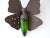 Midcentury Big Italian Rare Butterfly Detailed Green Glass Body Sconce For Sale - Image 10 of 12