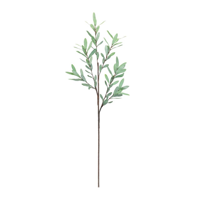Bring the serene beauty of nature indoors with our Olive Leaf Branch Set. These elegant 39" faux stems feature rich green...