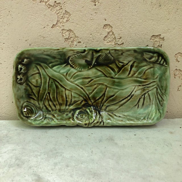 Army Green C. 1950 French Majolica Shell Platter For Sale - Image 8 of 8