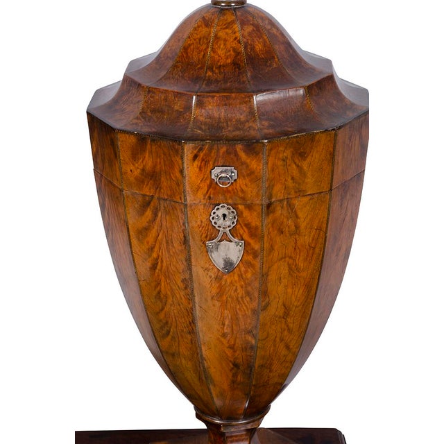 Figurative Pair of Regency Mahogany Knife Urns For Sale - Image 3 of 13