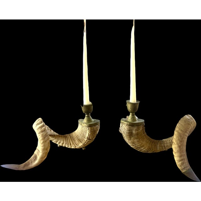Bone Vintage Ram Horn Candle Holders Pair For Sale - Image 7 of 14