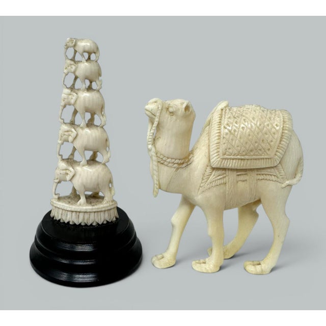 Antique Carved Asian Chinese Figured Clam Shell Animals Elephant Camel Lion 19Ct For Sale - Image 12 of 17
