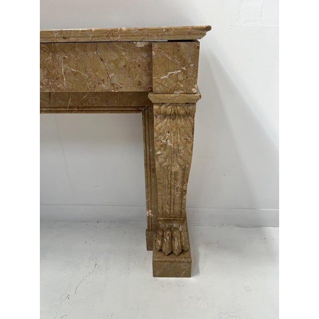 Napoleon III Fireplace with Claw Feet in Speckled Marble, 1800s For Sale - Image 3 of 18