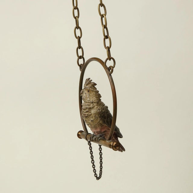 Late 19th Century Conservatory Polychrome Cold-Painted Metal Cockatoo on Hanging Perch For Sale - Image 5 of 12