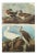 1966 Vintage Cottage Print "White Ibis & American Widgeon" After John James Audubon For Sale