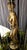 Vintage Mid-Century Nude Goddess Bathing Oil Rain Lamp For Sale - Image 4 of 11