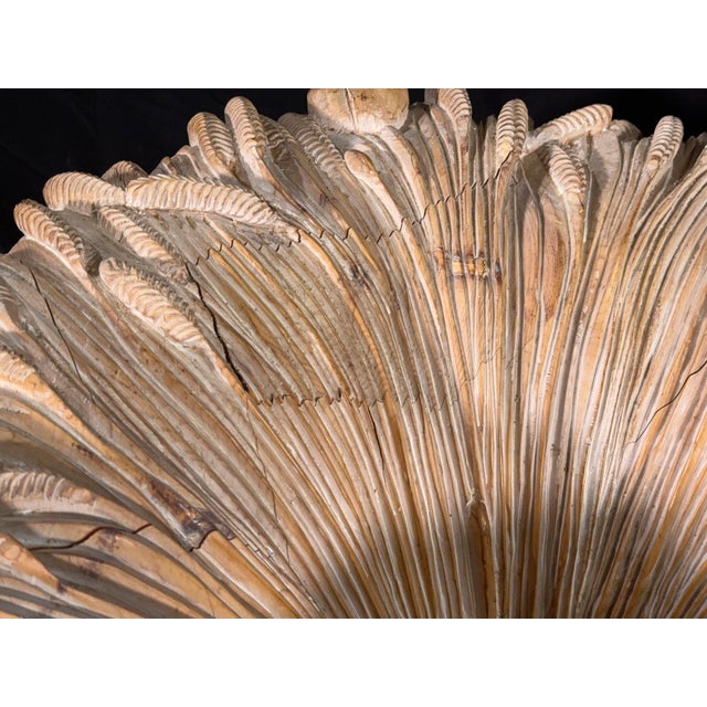Wood Carved Wood Wheat Sheaf Dining Table Base by Chelini of Florence Italy, 1970s For Sale - Image 7 of 12