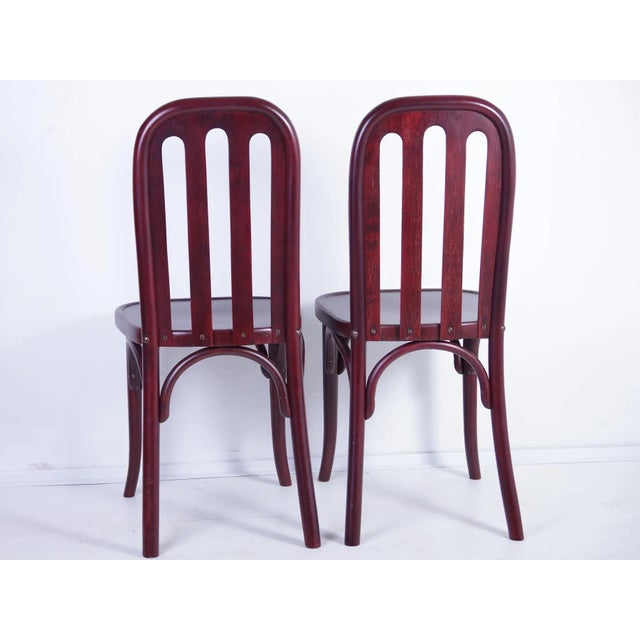 Set of Antique Chairs by Josef Hoffmann for Jacob & Josef Kohn For Sale - Image 5 of 18
