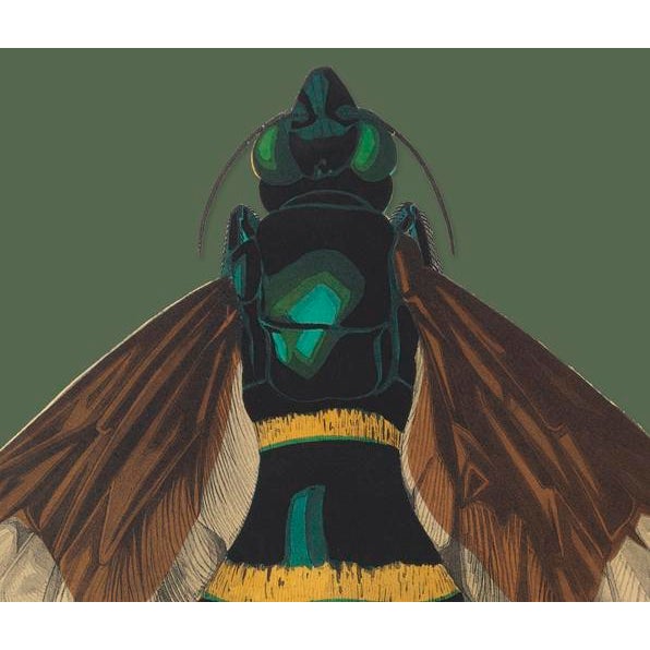 The series was produced by CFA editions from original pochior prints by E.A. Seguy. The series of insects that Seguy...