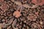 Shabby Chic William Morris Pak-Persian Black/Taupe Wool Rug - 9'1'' X 11'9'' For Sale - Image 3 of 9