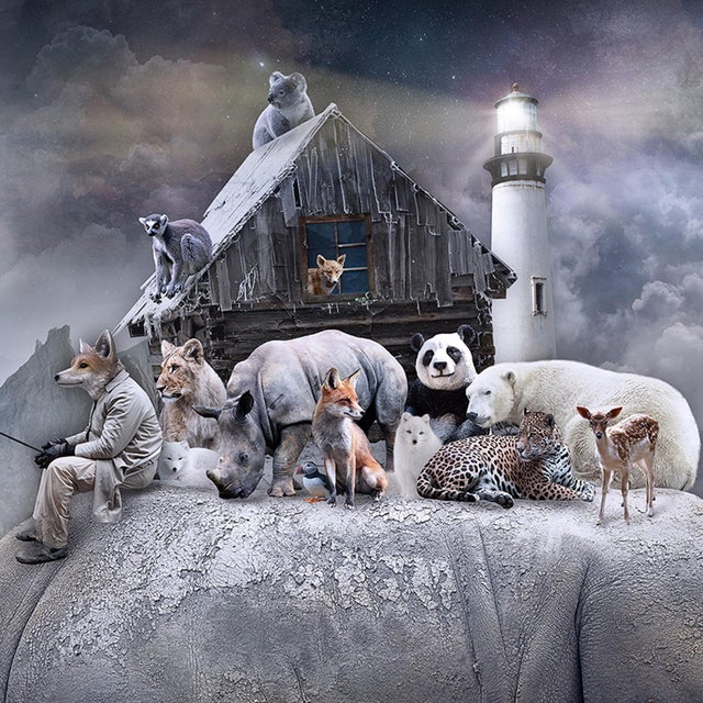 Shelter - Spirit of the Rhino by Marcin Owczarek | Photography - Dye Sublimation on Aluminum featuring a rhino with animals on its back. For Sale - Image 4 of 5