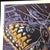 1990s After Andy Warhol "Butterfly" Lithograph For Sale - Image 10 of 11