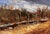 Platte River, Denver in December by Timothy J. Standring | Oil on canvas Landscape with river and trees For Sale