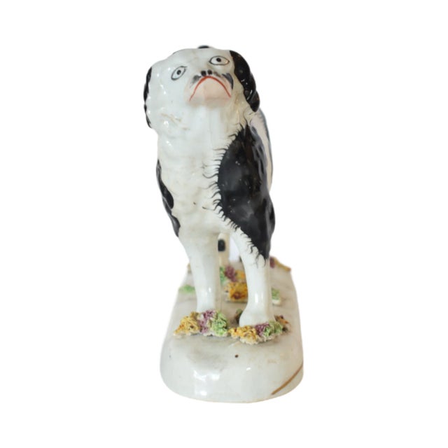 Morris the Black & White Staffordshire Water Spaniel Dog and His Portrait by Susannah Carson For Sale In San Francisco - Image 6 of 12