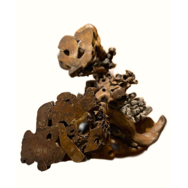 Early 21st Century Large Root Plant Stand With Embedded Rocks For Sale - Image 5 of 12