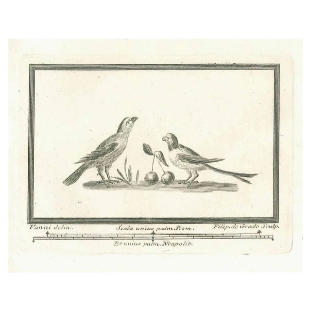 Unknown, Birds, Etching, 18th Century For Sale