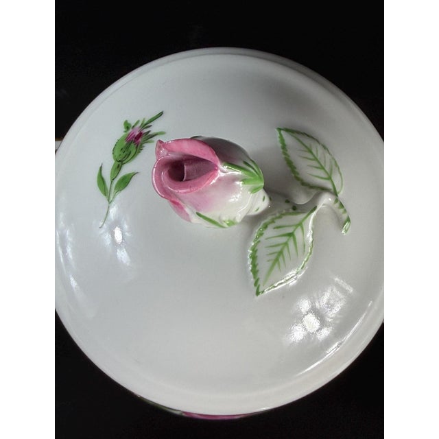 Rote Rose Coffee Service in Porcelain from Meissen, Germany, 1980s, Set of 23 For Sale - Image 10 of 17