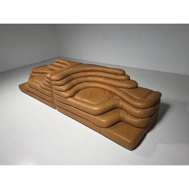DS-1025 Terrazza Sofas by Ubald Klug for De Sede, 1980s, Set of 2 For Sale - Image 3 of 10