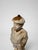 Cream Victor Szczeblewski (Polish 1859-1901), "Mousse Siffleur" Marble Sculpture For Sale - Image 8 of 9