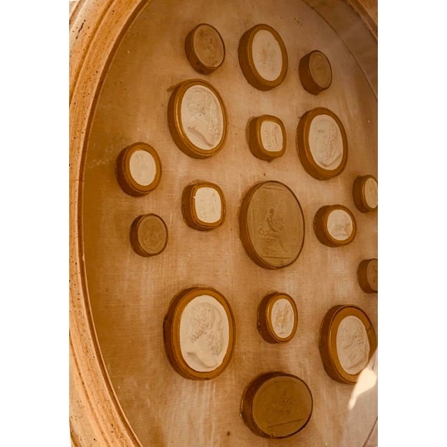 Framed Collection of Grand Tour Plaster Intaglios, 18th/19th Century — Shadow Box of Classical Cameos For Sale - Image 10 of 15