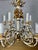 Gold Early 20th Century Italian Twelve-Light Rococo Style Cherub Chandelier For Sale - Image 8 of 15