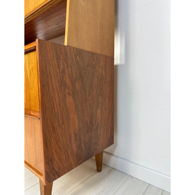 Wood Vintage Walnut Cabinet by Franz Ehrlich for VEB Deutsche Werkstätten Hellerau, 1950s For Sale - Image 7 of 17