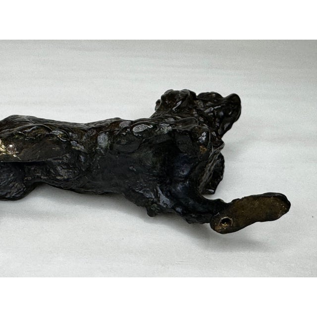 Antique Miniature Austrian Bronze Long Haired Dachshund Sculpture Circa 1900 For Sale - Image 12 of 18