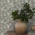 English Sample - Boråstapeter Syren Wallcovering In Olive For Sale - Image 3 of 4