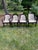 Set of 8 dining room chairs: 2 armchairs and 6 side chairs. Hand painted black Klismos-style chairs recently upholstered...