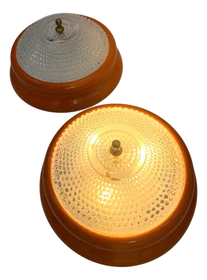 Vintage Italian Ceiling Light, 1960s, Set of 2