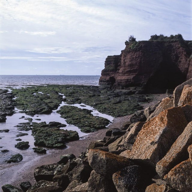 Not Yet Made - Made To Order Paul Cooklin, Red Rock, Devon, Edition of 50 For Sale - Image 5 of 5