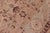 1990s Boho Chic 1990's Pak-Persian Tan/Green Wool Rug - 6'1'' X 8'8'' For Sale - Image 5 of 9