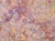 Abstract Metallic Skies - Textured Abstract on Canvas by Judith W Winslow For Sale - Image 3 of 6
